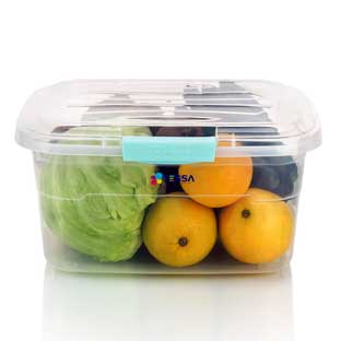 Bread Container 520