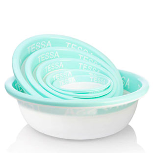 Tessa Basin Mini